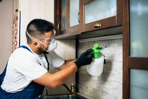 Best Flea Control Services  in Coalville, UT
