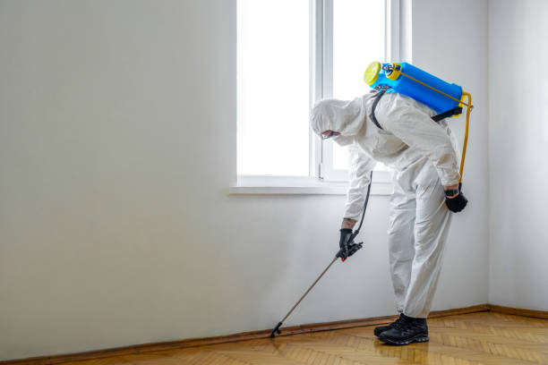 Best Termite Control Services  in Coalville, UT
