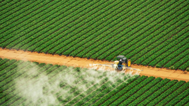 Best Pest Removal Services  in Coalville, UT