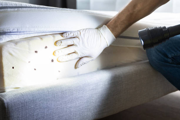 Best Best Pest Control Companies  in Coalville, UT