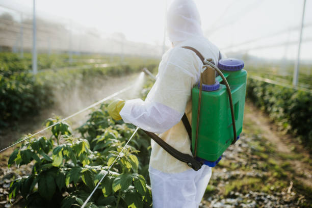 Best Insect Control  in Coalville, UT